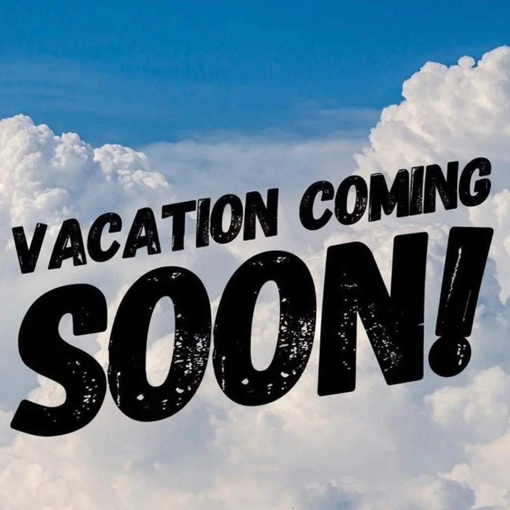 VACATION MODE - Picture 5 of 5